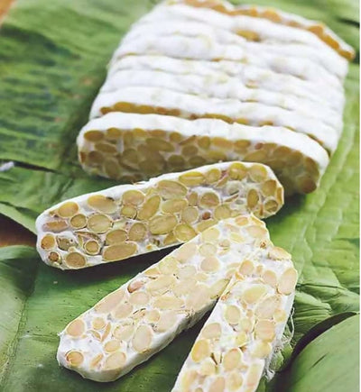 Posh Flavors Tempeh Starter Culture | Make Indonesian Tempeh at Home | Easy-to-Use Instructions Included | Makes 5 Kilograms of Soy/ Non-Soy Tempeh - plant based Dukan