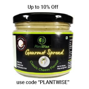 PlantWise Cheezy Spread ClassicFlavour 200 gms