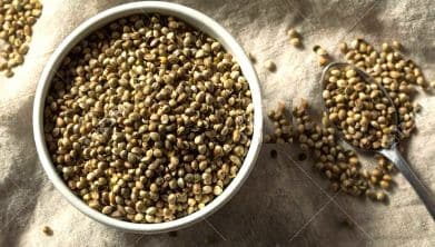 INDUS HEMP - HEMP TOASTED SEEDS | Rich in Omega Fatty Acids | Lowers Cholestrol | Plant based and Gluten-free