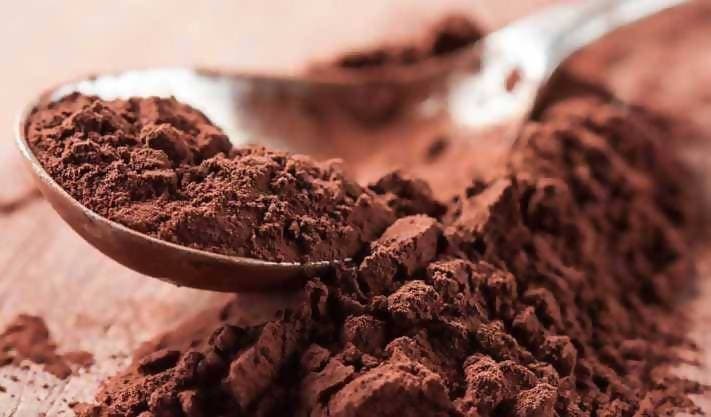 Jus'trufs Cocoa Powder (100gm) - plant based Dukan