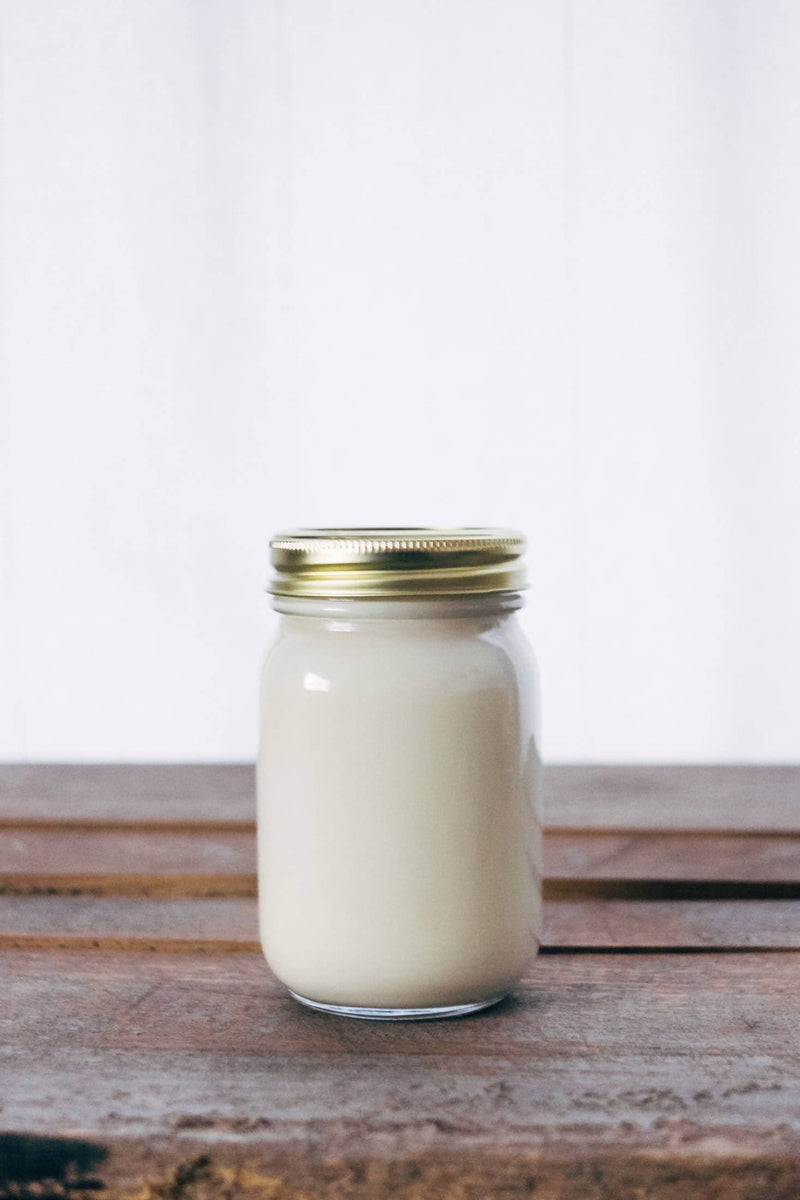 Posh Flavors Vegan Greek Yogurt Starter | Non-GMO | 100% Vegan Plant Based Cultures | Make Vegan Greek Yogurt at Home Easily | Make Batch-After-Batch - Vegan Dukan